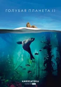сериал Голубая планета 2 (сериал 2017) смотреть онлайн ЛордФильм